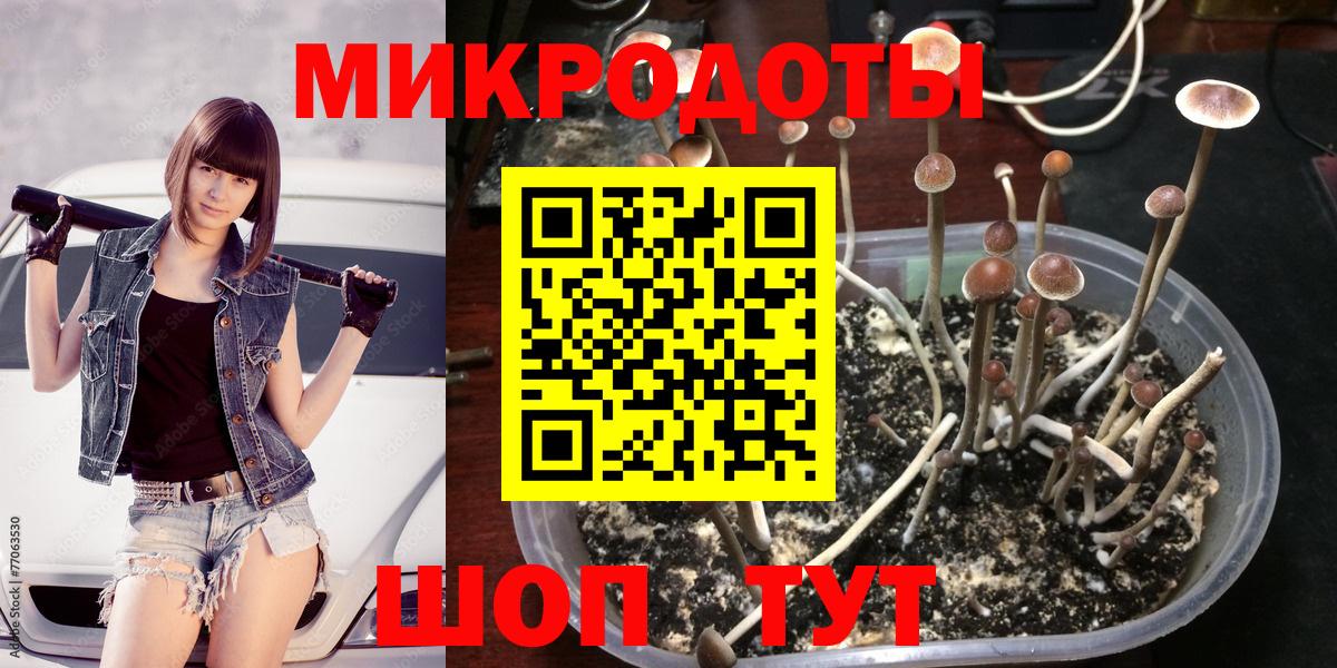 Галлюциногенные грибы ЛСД  Псилоцибиновые грибы Psilocybe  Сочи  Вход с VPN 