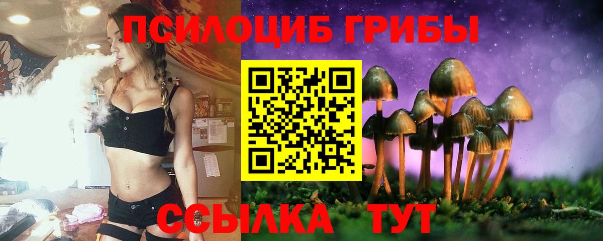 Псилоцибиновые грибы GOLDEN TEACHER Сочи